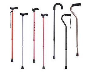 Walking Sticks